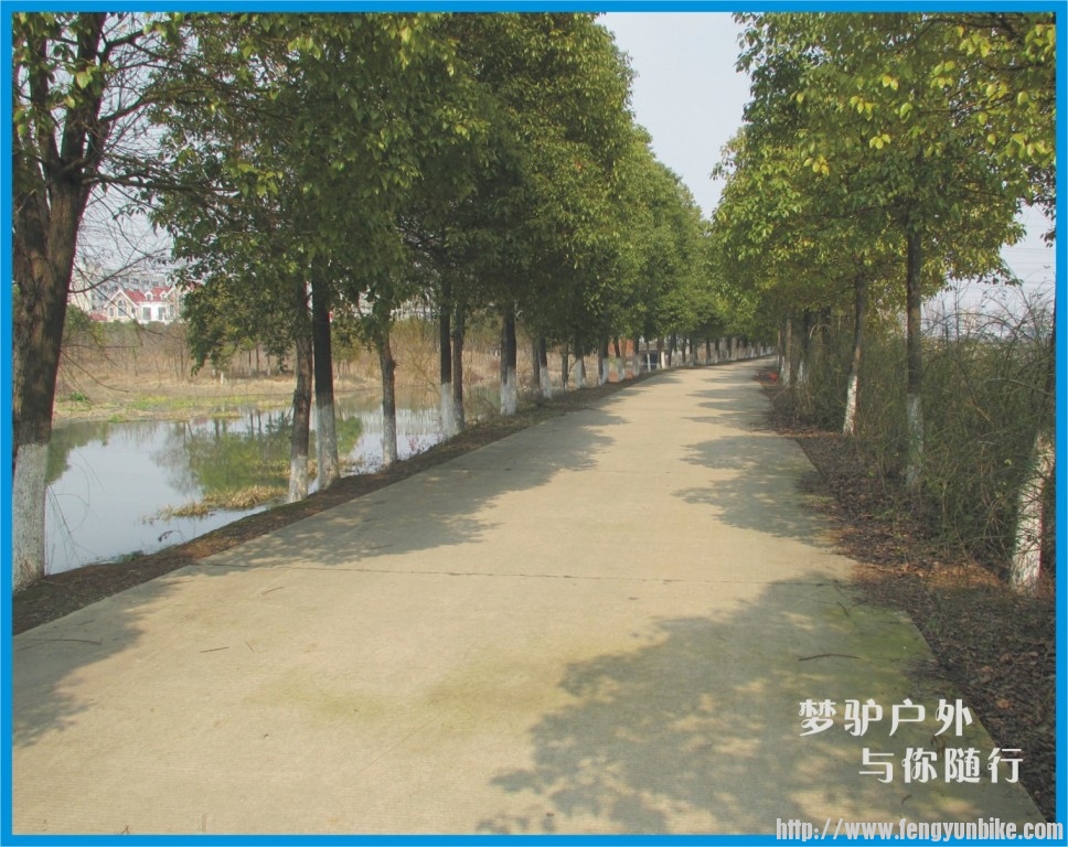 环湖车道2.jpg