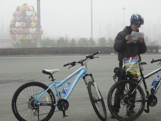 枯柳树环岛，专心研读地图