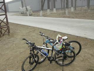 给车车来个合照