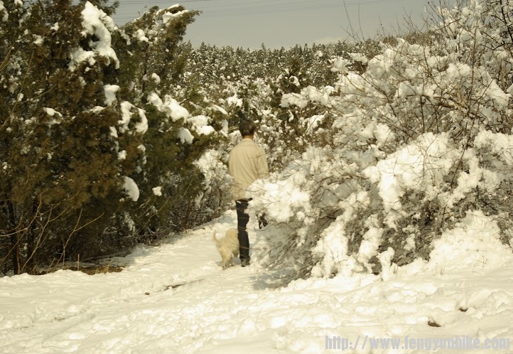 看香山的雪14.jpg