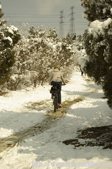 看香山的雪6.jpg