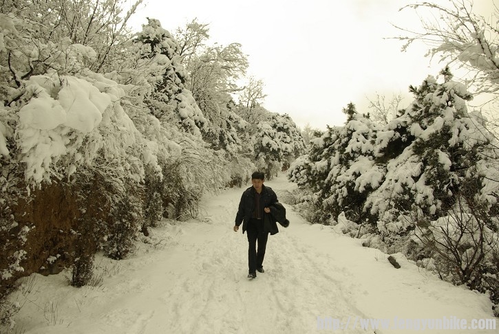 看香山的雪35.jpg