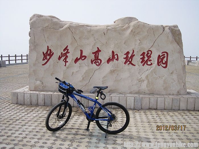 哈哈，她很美啊！