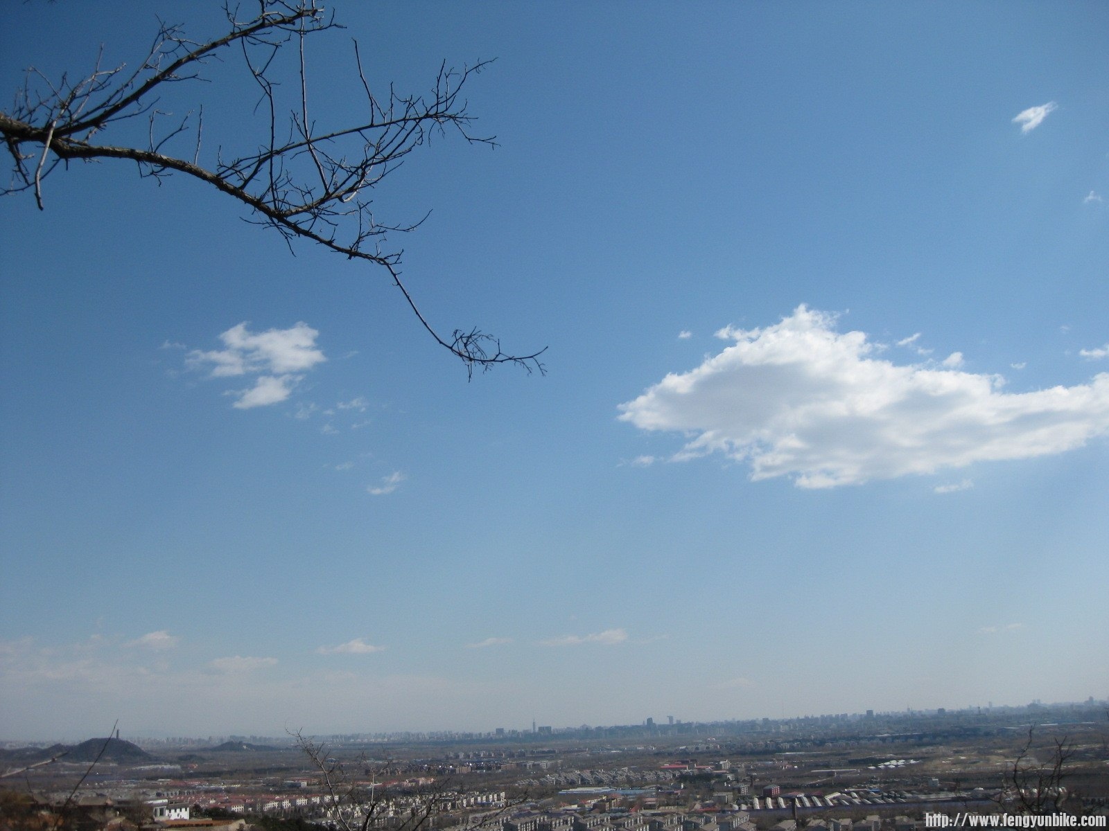 IMG_1551 (复制).JPG