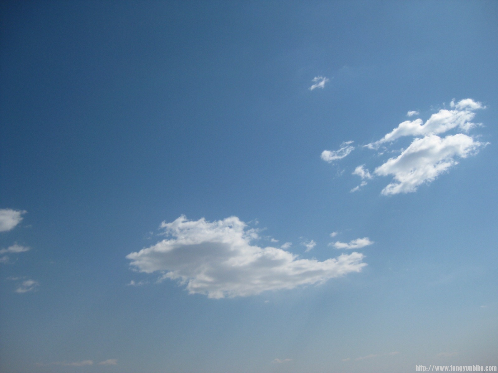 IMG_1554 (复制).JPG