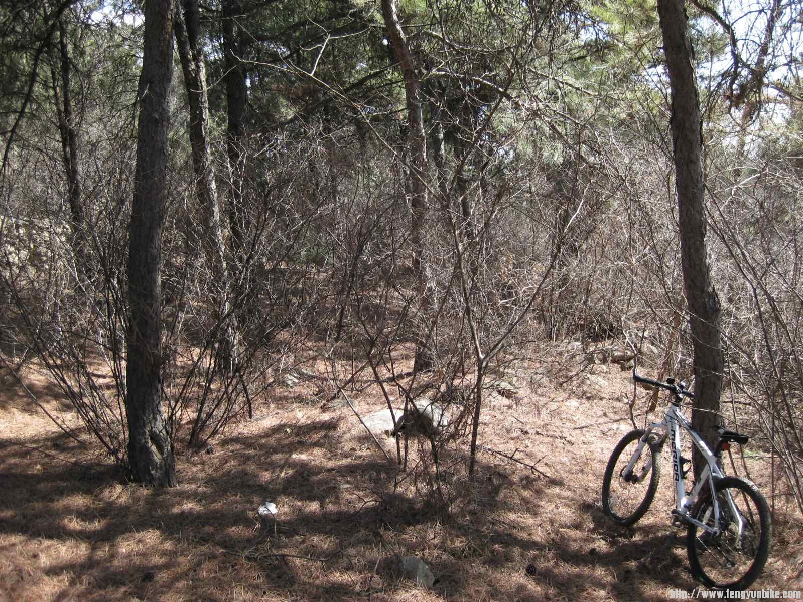 IMG_1556 (复制).JPG