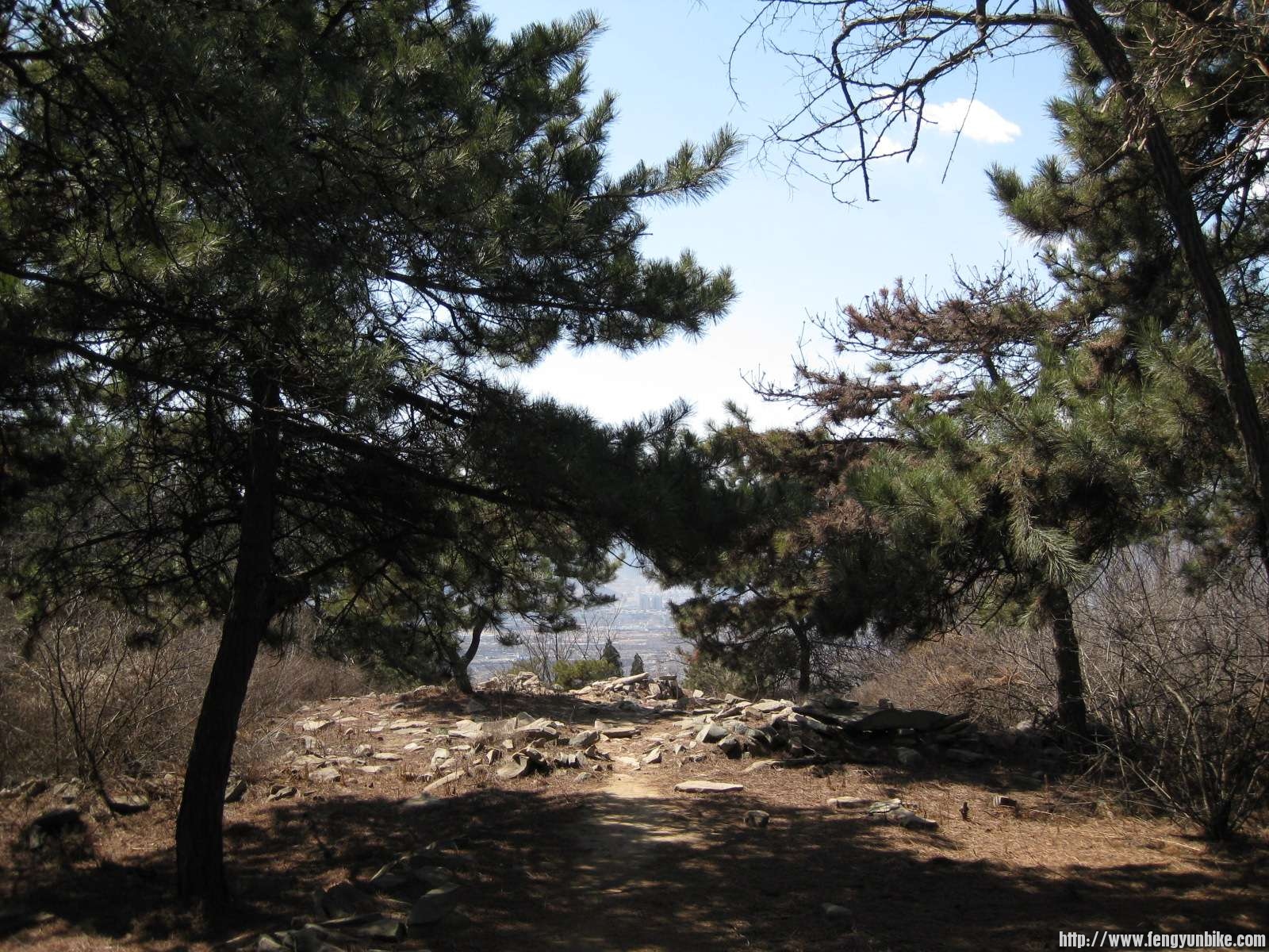 IMG_1557 (复制).JPG