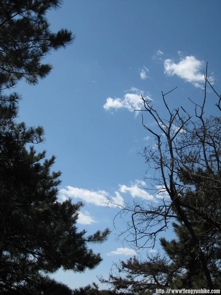 IMG_1561 (复制).JPG