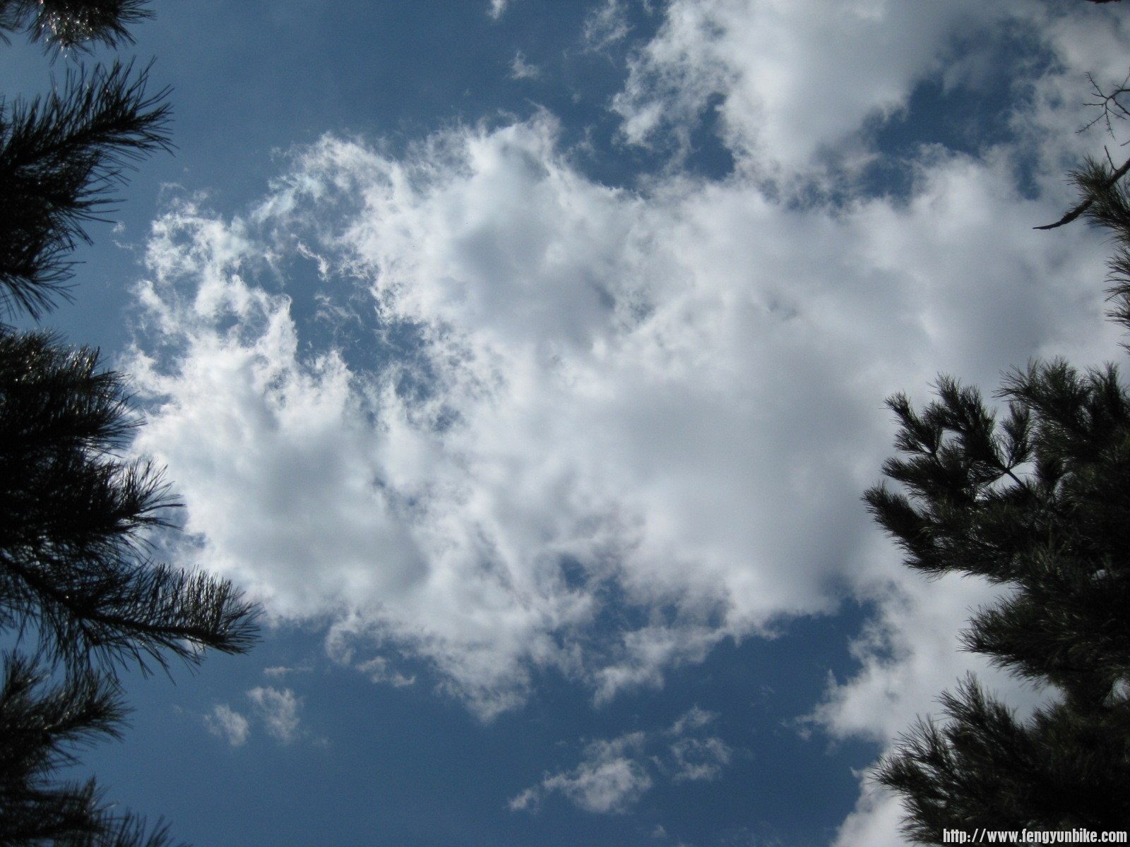 IMG_1563 (复制).JPG