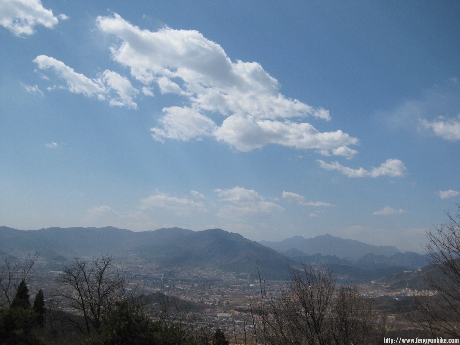 IMG_1565 (复制).JPG