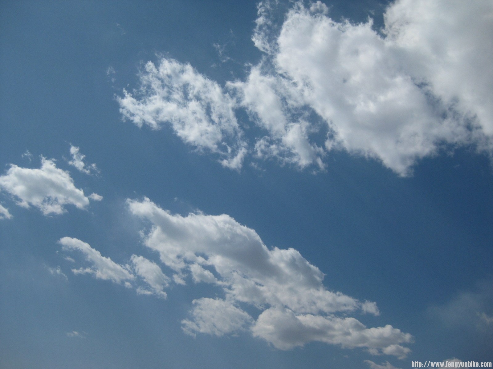 IMG_1566 (复制).JPG