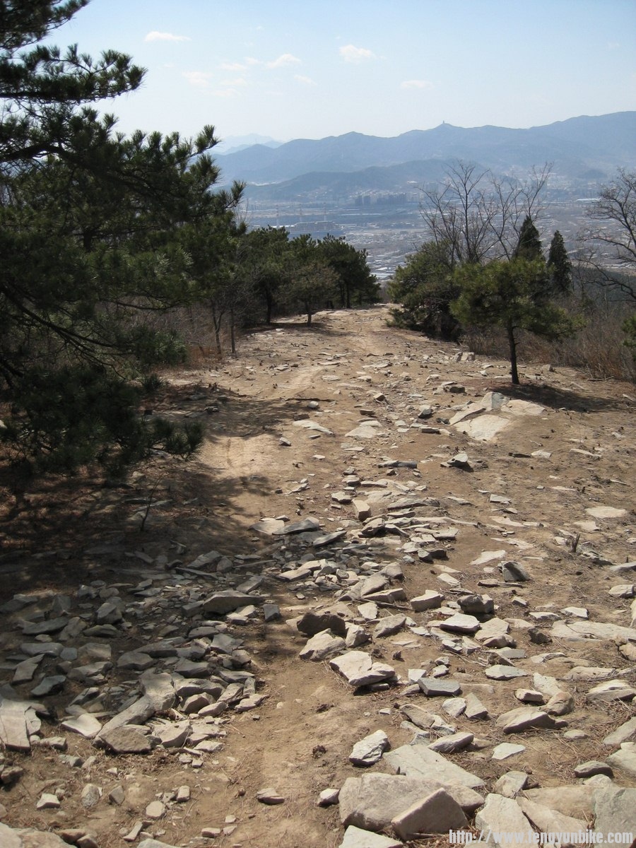 IMG_1567 (复制).JPG