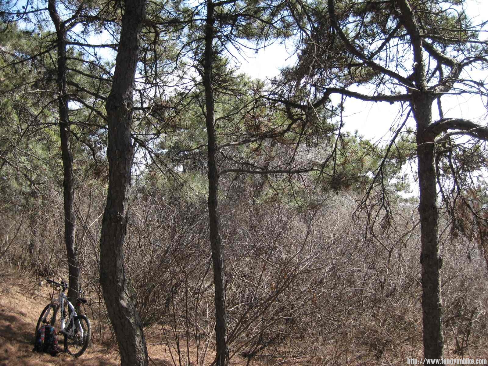 IMG_1568 (复制).JPG