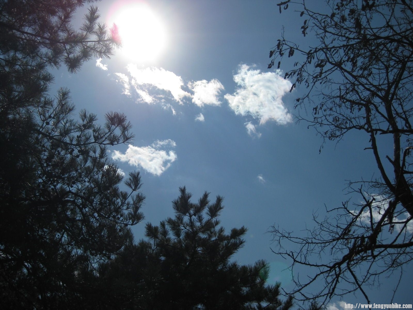 IMG_1569 (复制).JPG