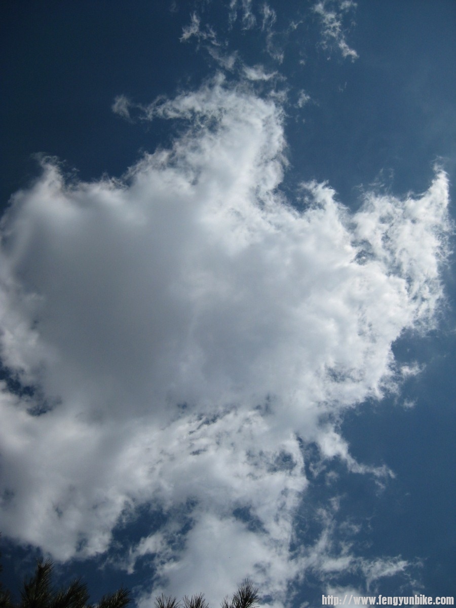 IMG_1570 (复制).JPG