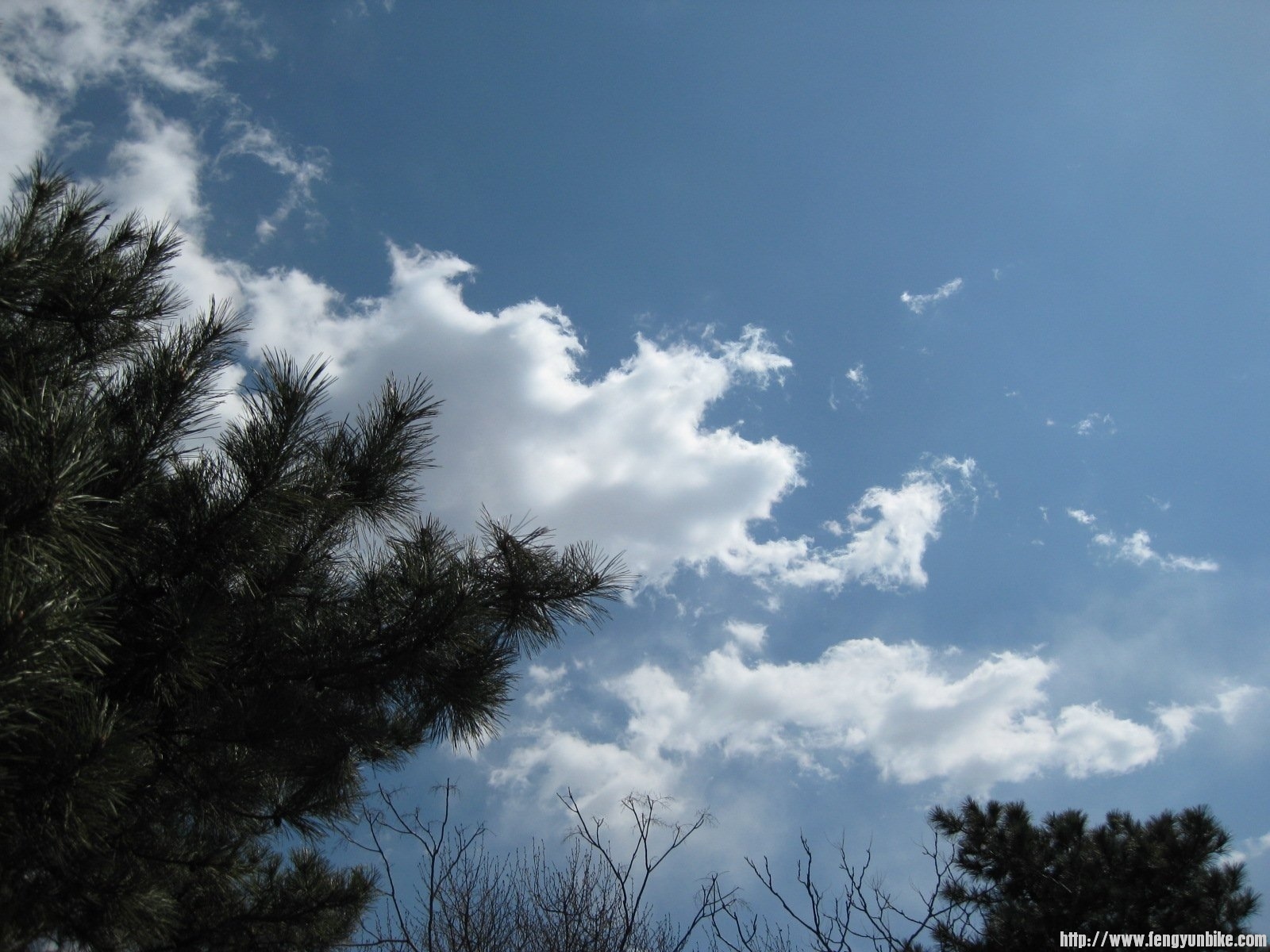 IMG_1571 (复制).JPG