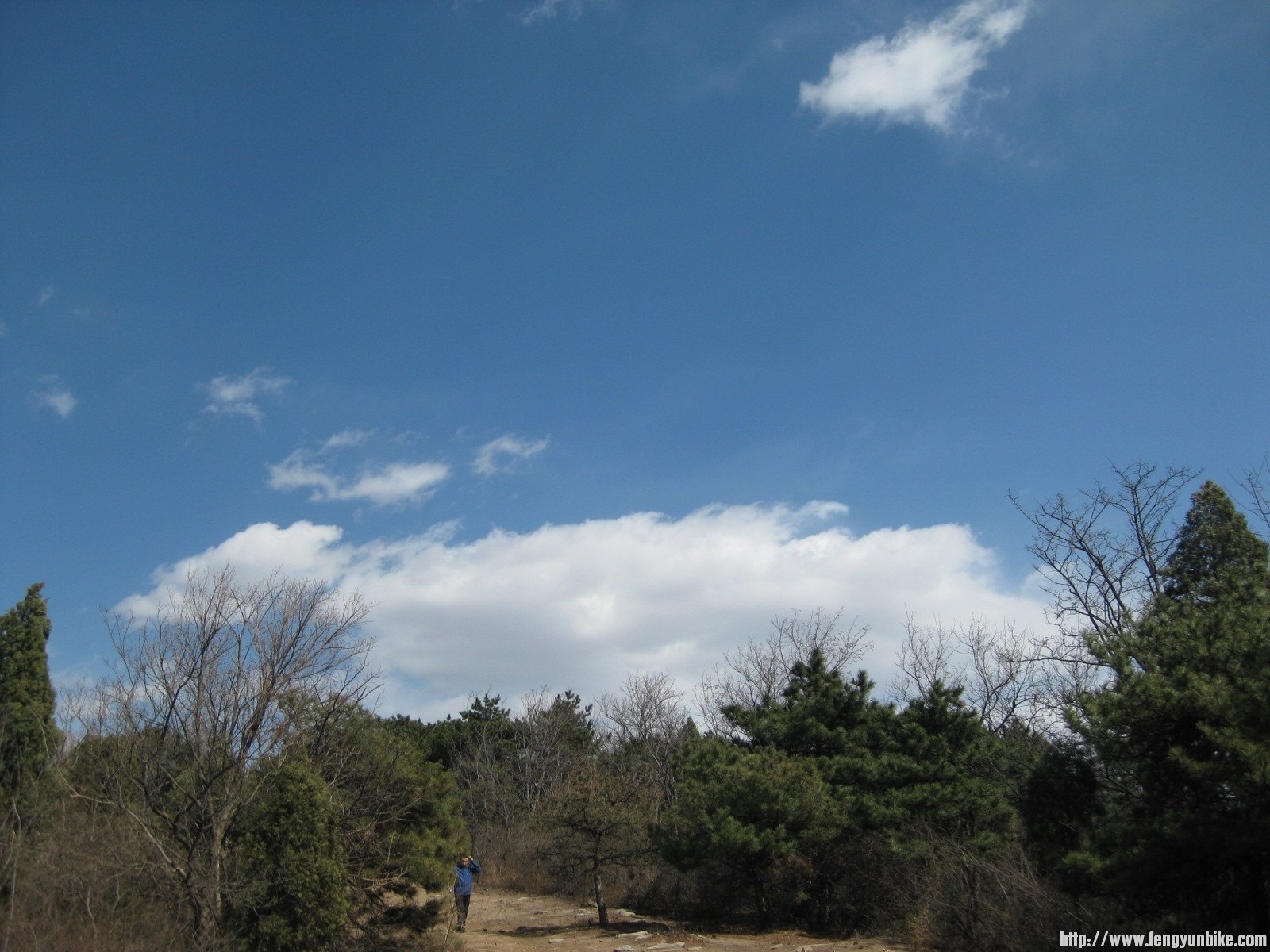 IMG_1576 (复制).JPG