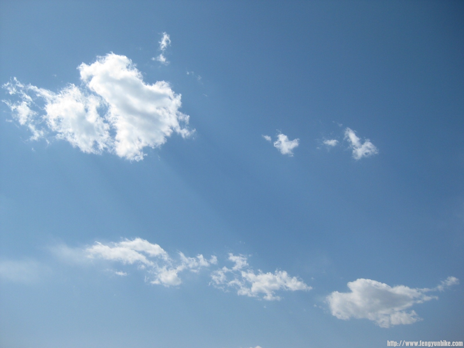 IMG_1578 (复制).JPG