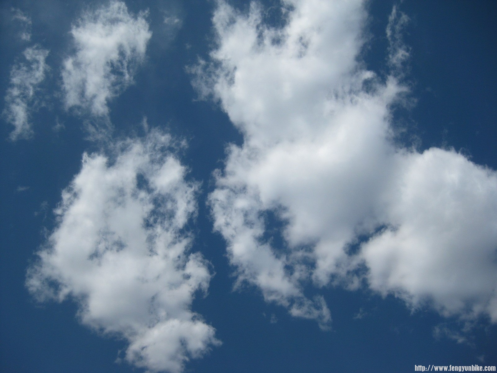 IMG_1579 (复制).JPG