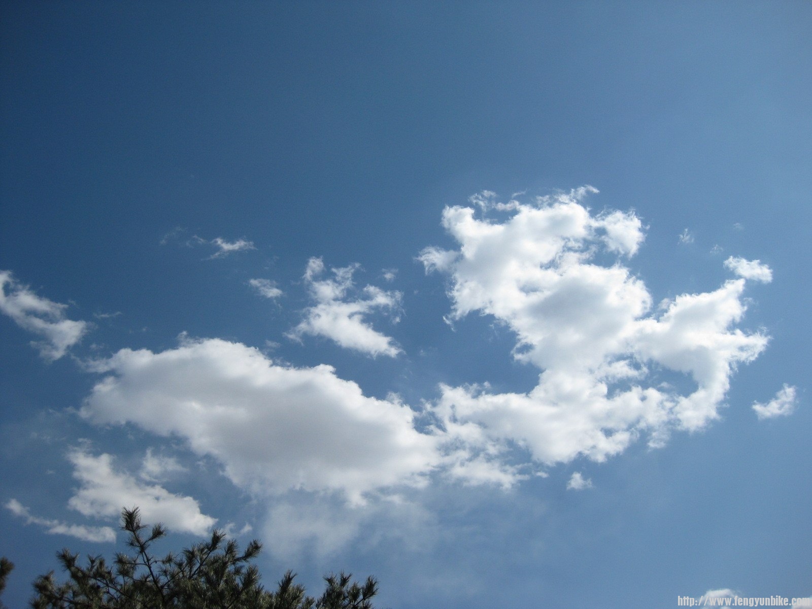 IMG_1580 (复制).JPG