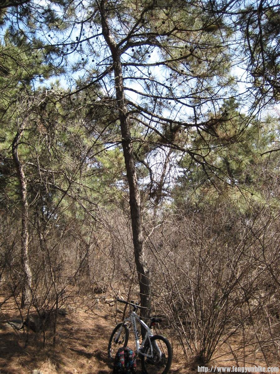 IMG_1585 (复制).JPG