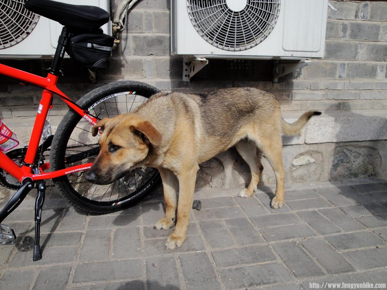 Poor baby, what are you thinking of?