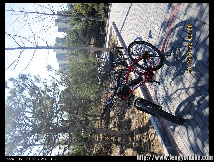 nEO_IMG_照片 498.jpg