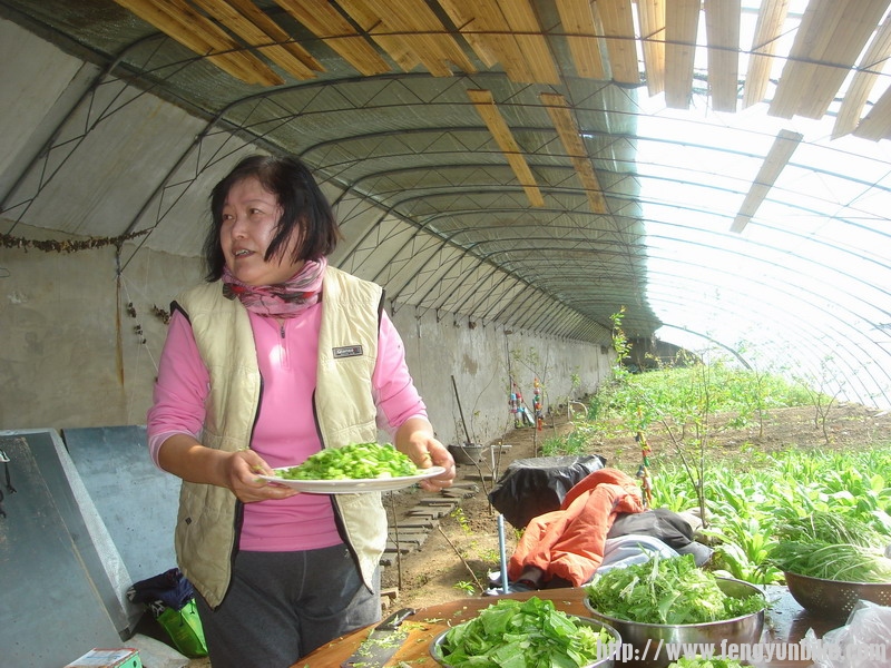 主人王姐忙着摆盘