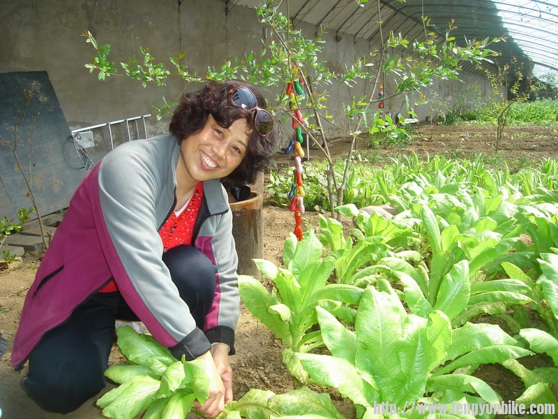 梁姐帮助采摘和洗菜