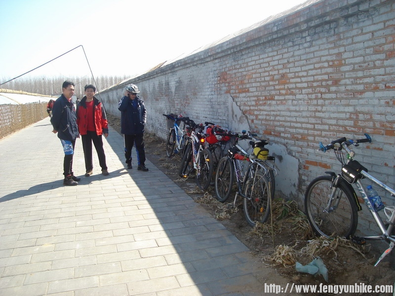 大棚外的车友坐骑