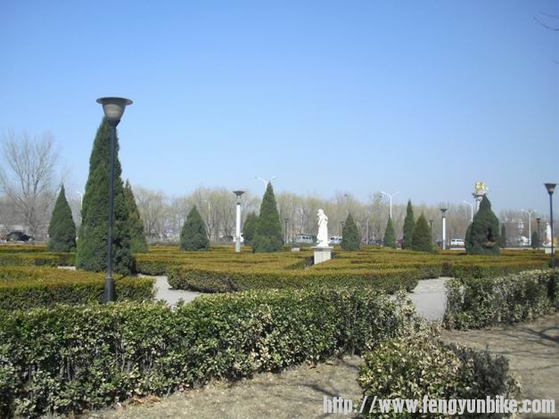 调整大小 CIMG6973.JPG