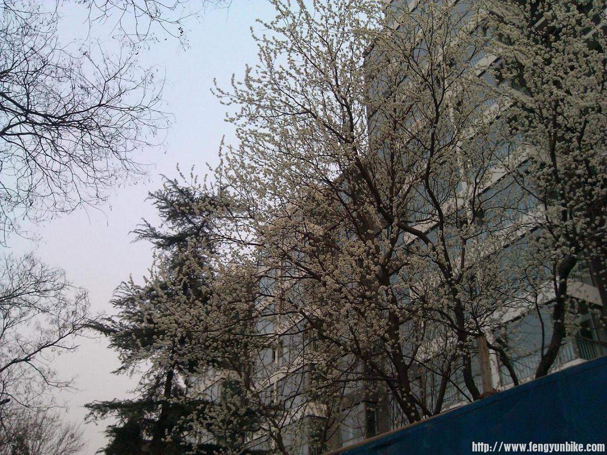 不知道叫什么名