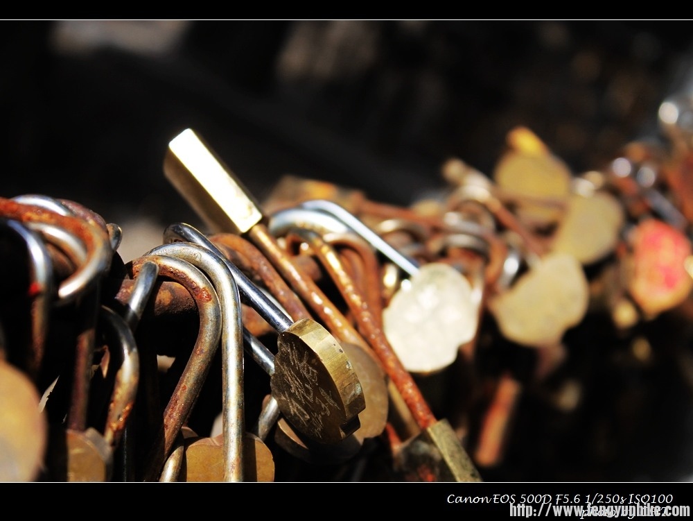 nEO_IMG_泰山 229.jpg