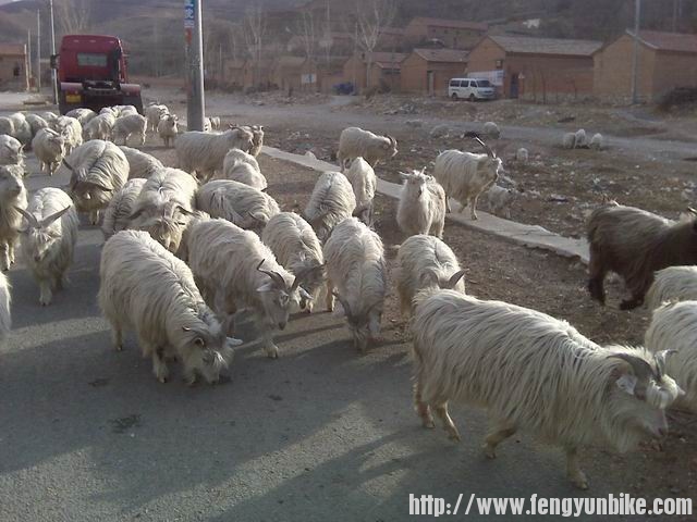 调整大小 IMG01305.jpg