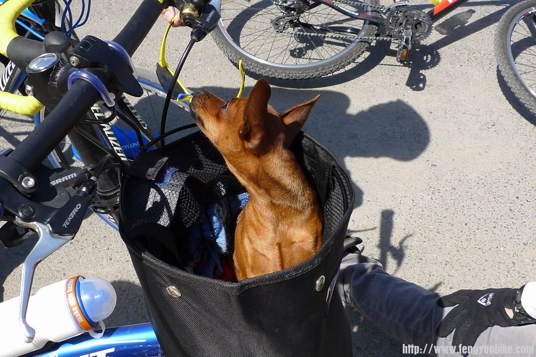 调整大小 P1010719.JPG