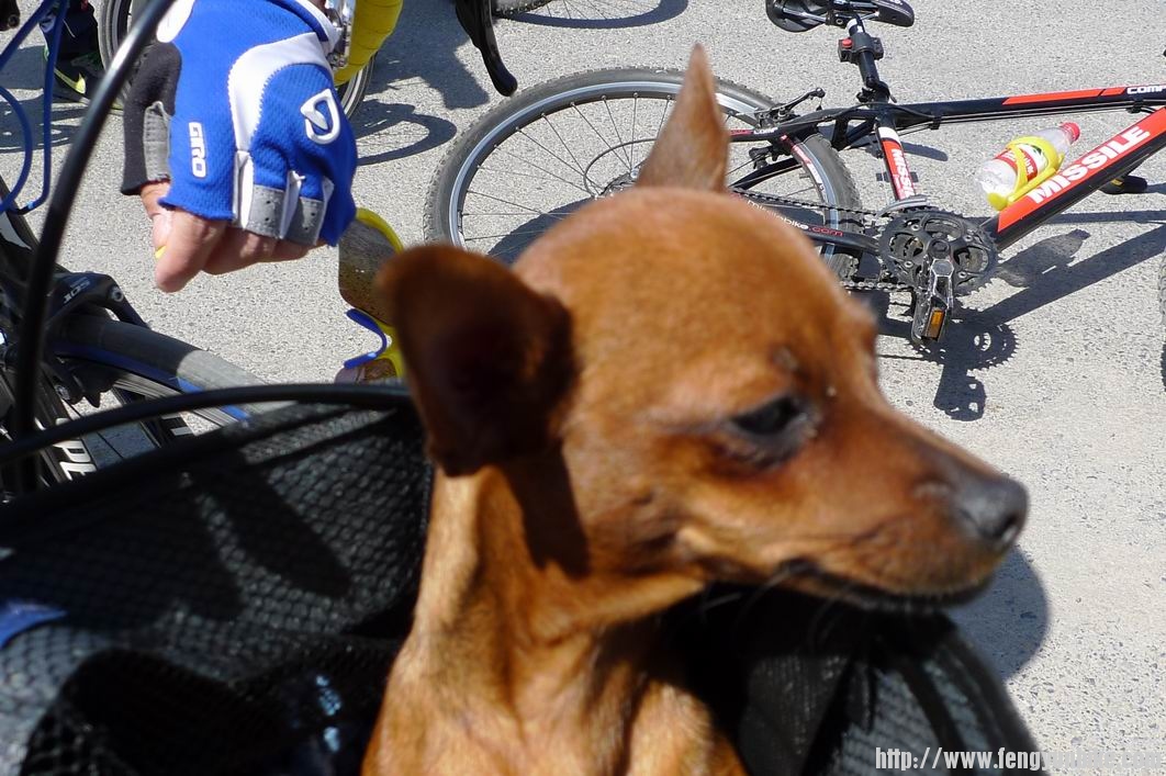 调整大小 P1010721.JPG