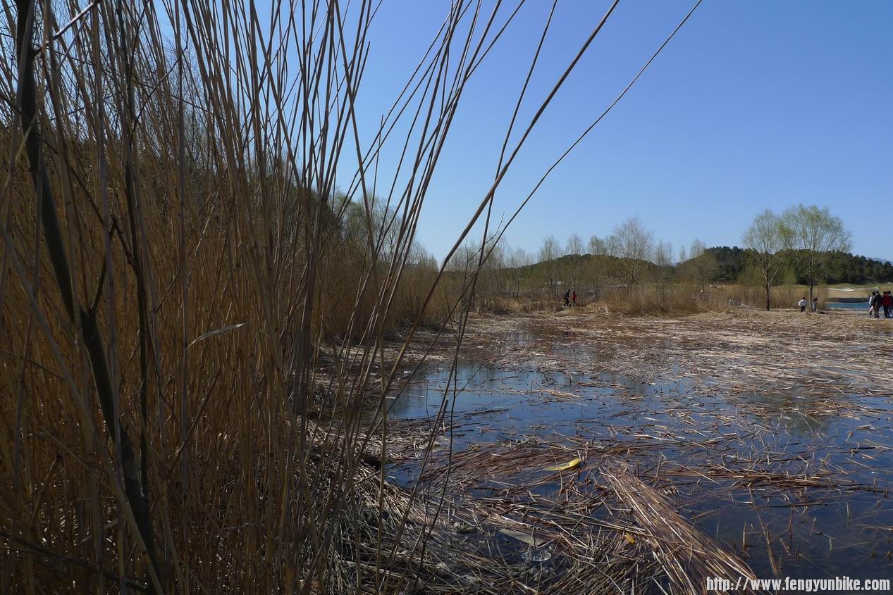 调整大小 P1010753.JPG