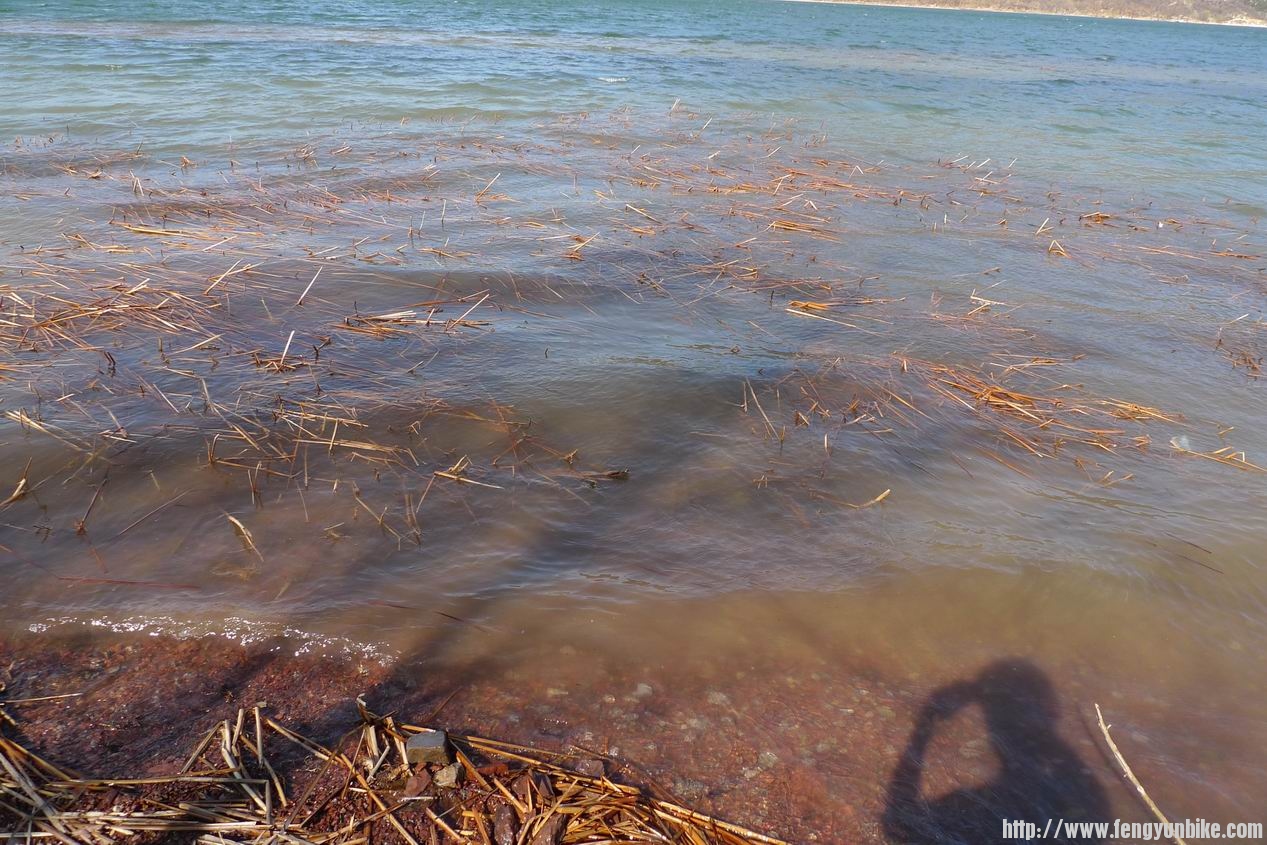 调整大小 P1010754.JPG