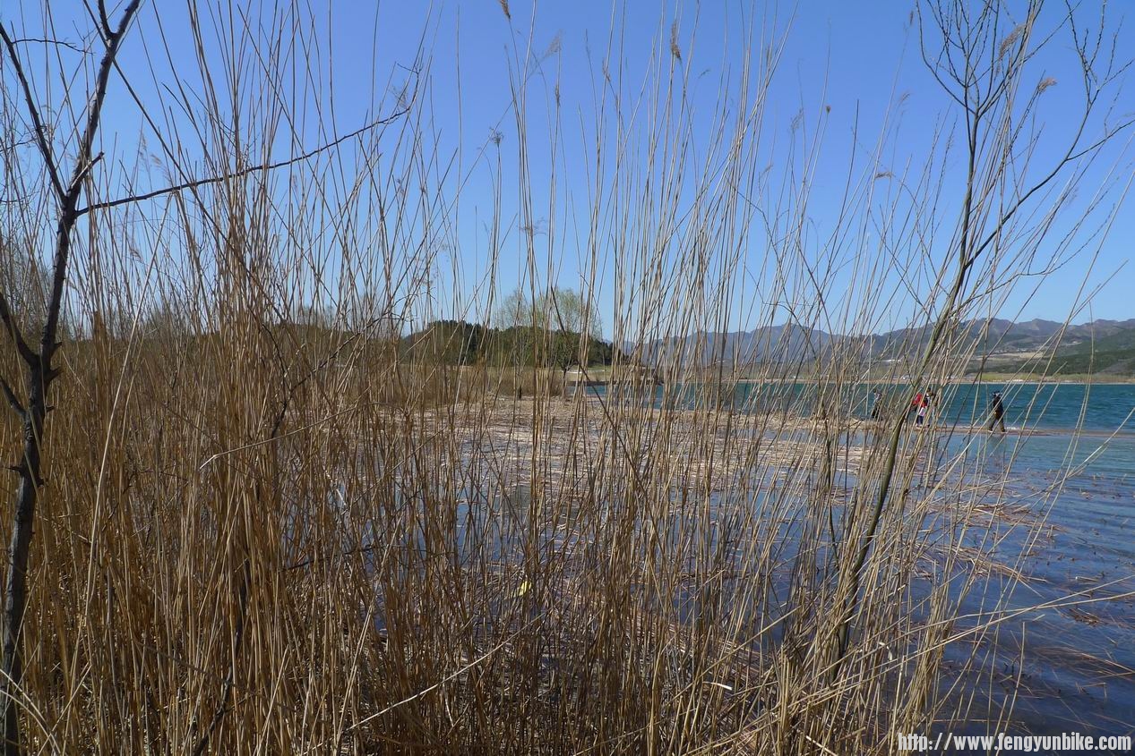 调整大小 P1010749.JPG