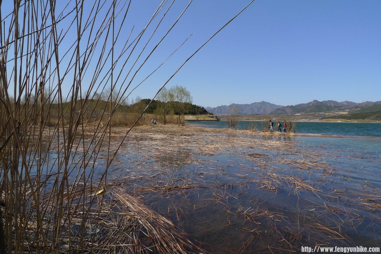 调整大小 P1010751.JPG