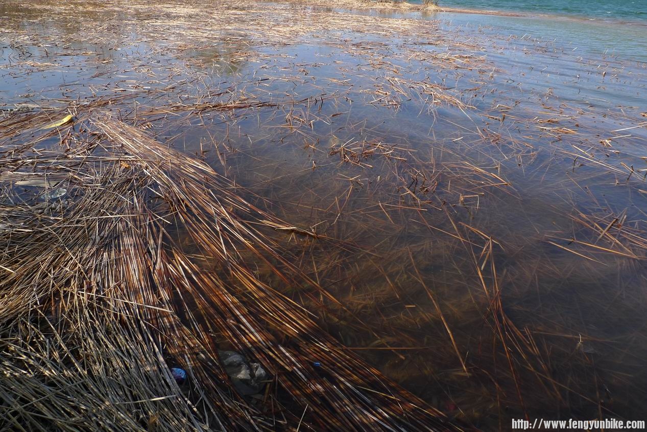 调整大小 P1010752.JPG