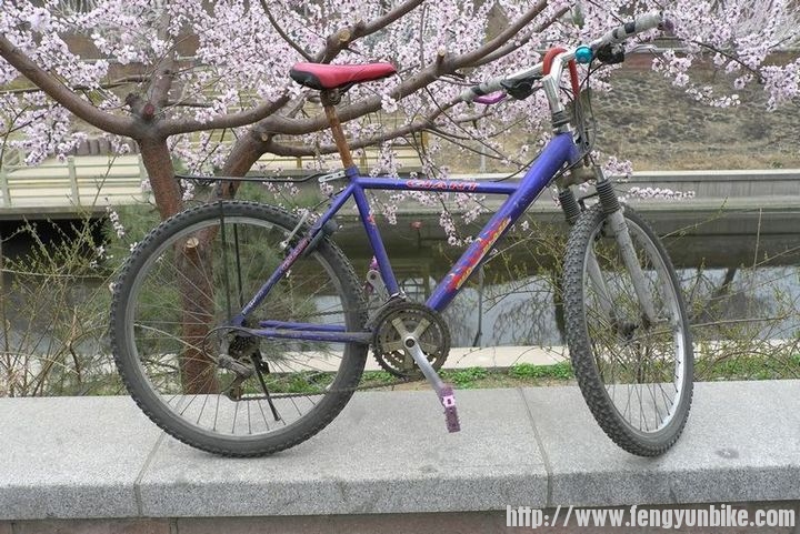 97年新款捷安特