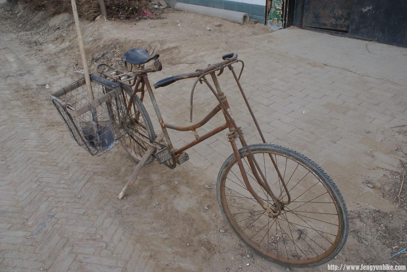 稀有的女单车2.JPG