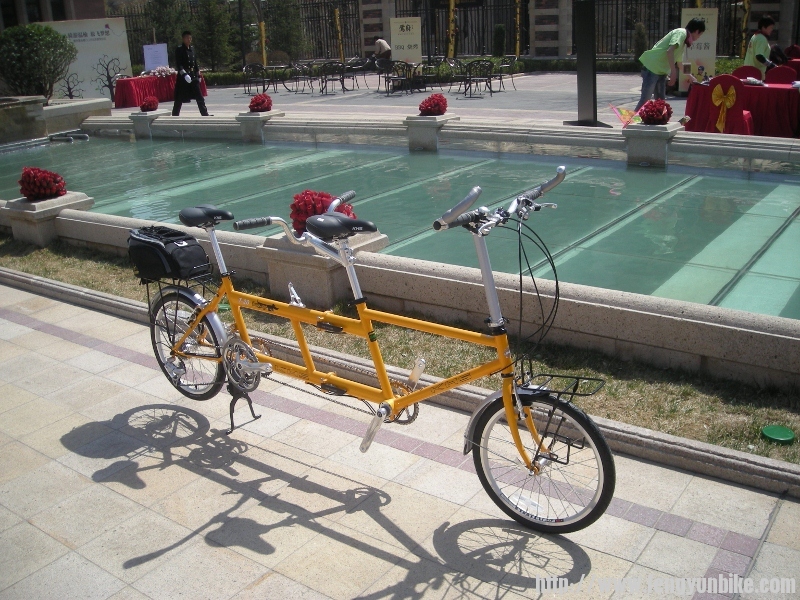 DSCN1546 (800x600).jpg