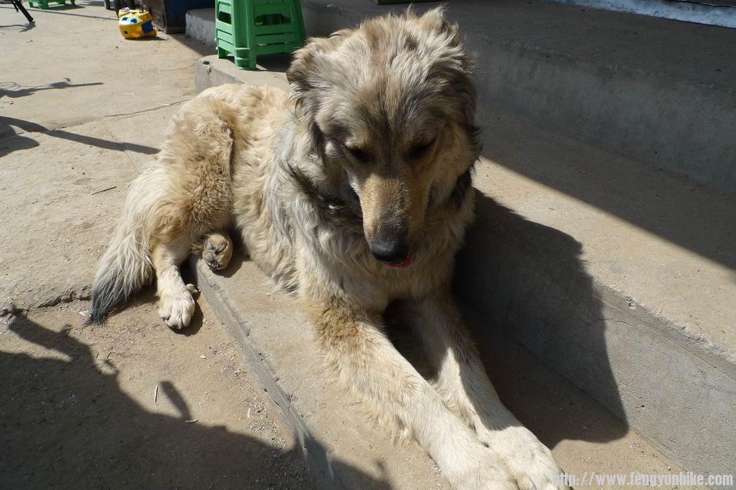 调整大小 P1010777.JPG