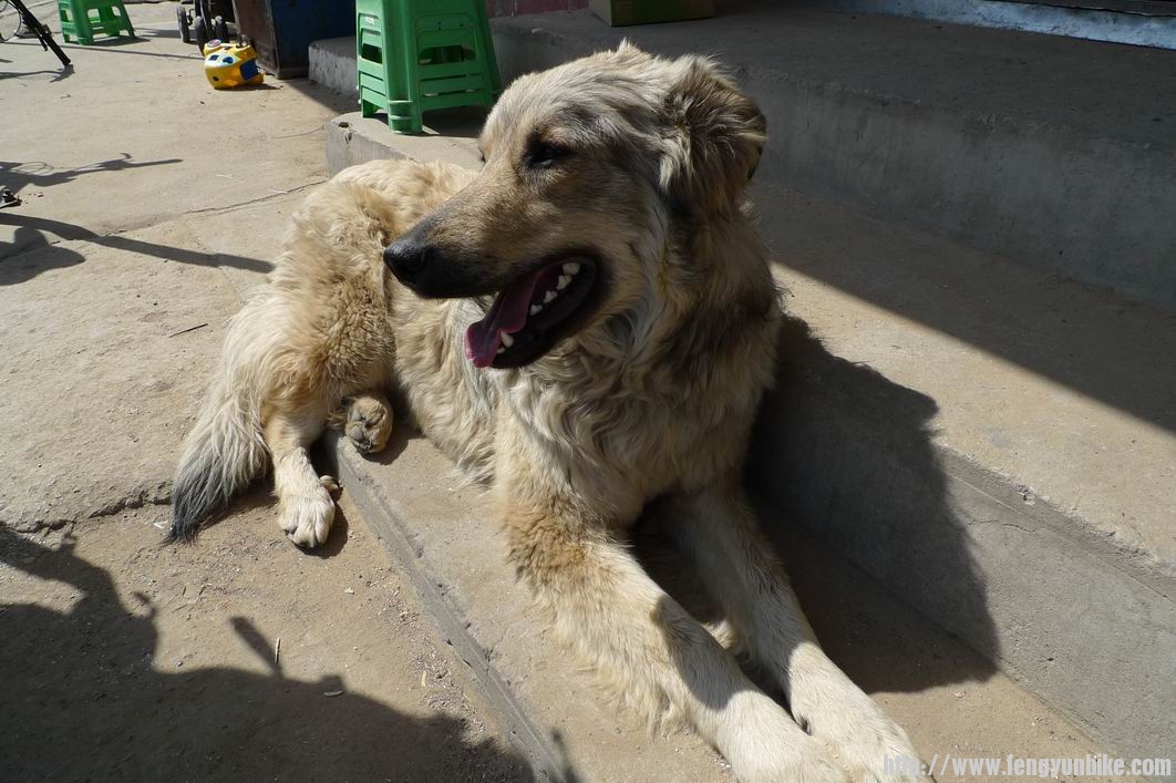 调整大小 P1010778.JPG