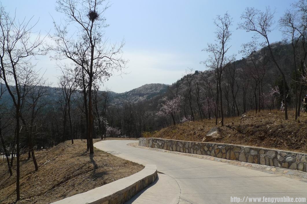 调整大小 P1010796.JPG