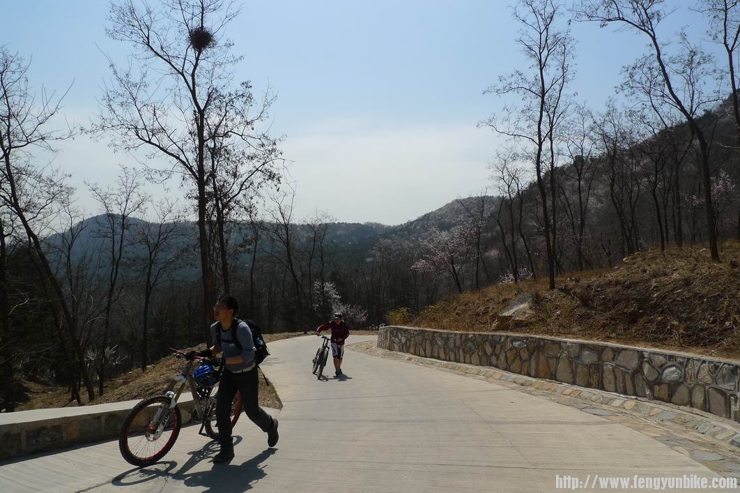 调整大小 P1010803.JPG