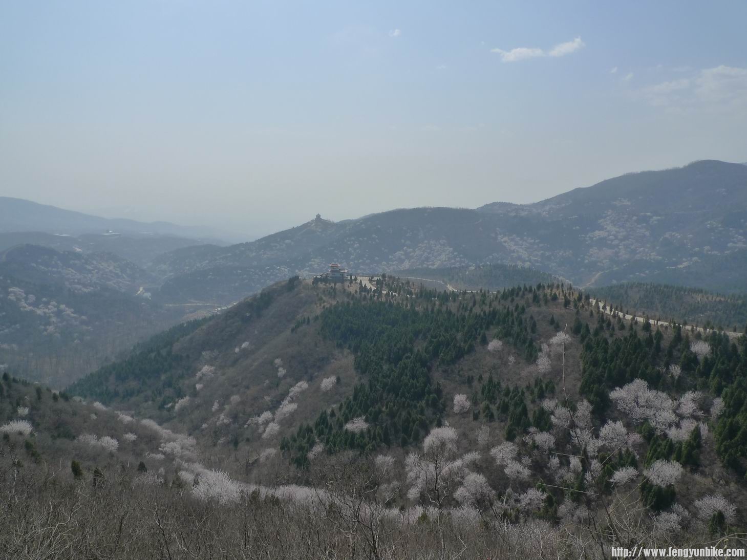 调整大小 P1010815.JPG