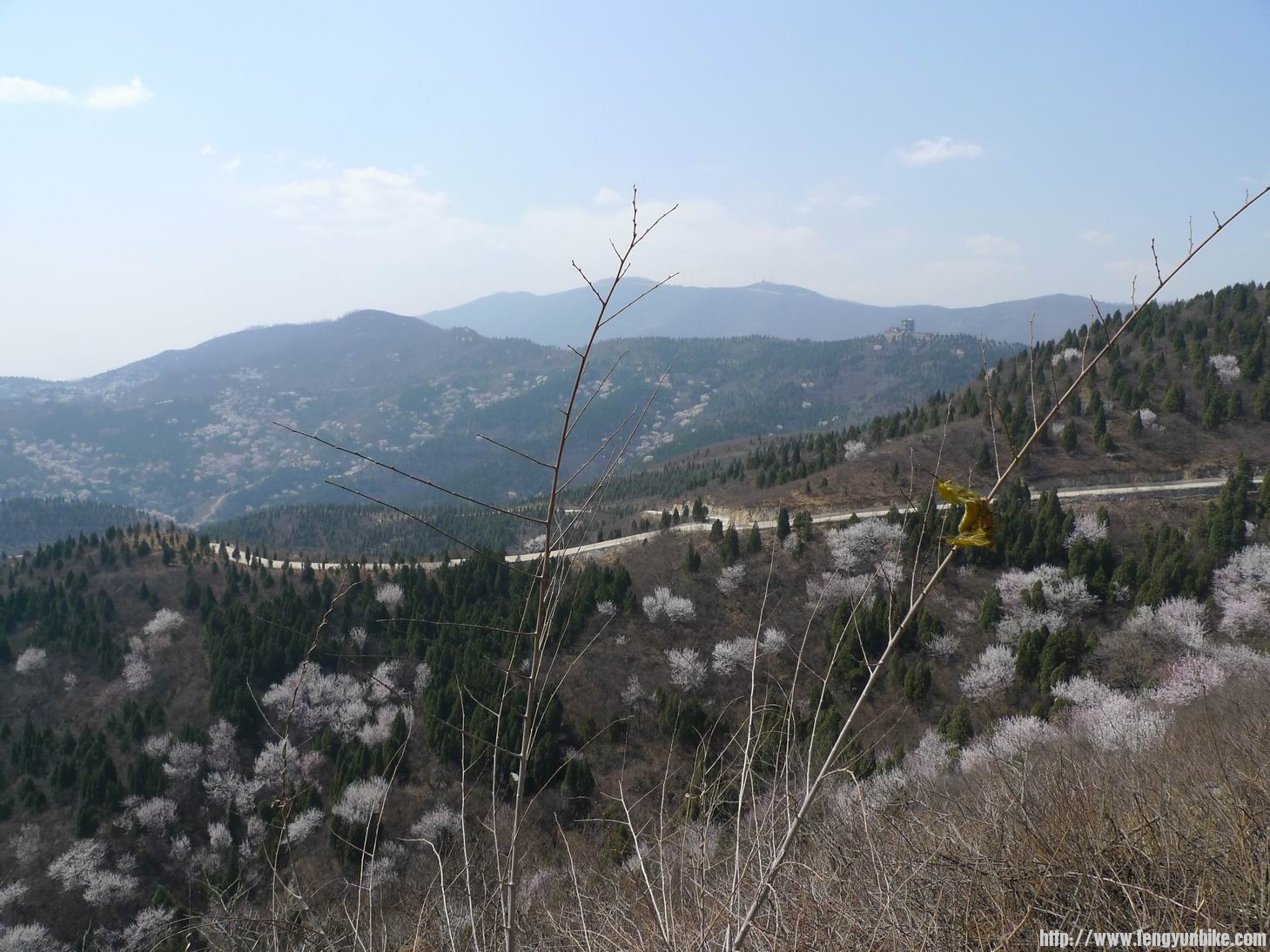 调整大小 P1010817.JPG